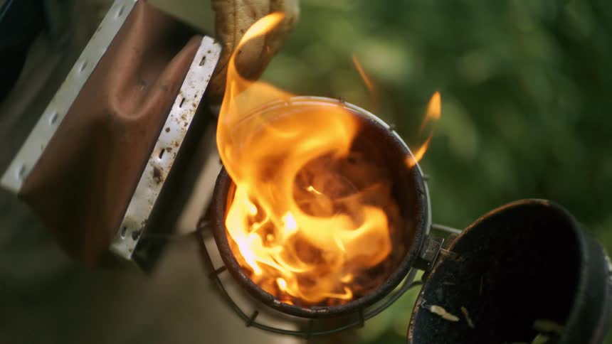 Intense flames burn inside a metal smoker used in beekeeping