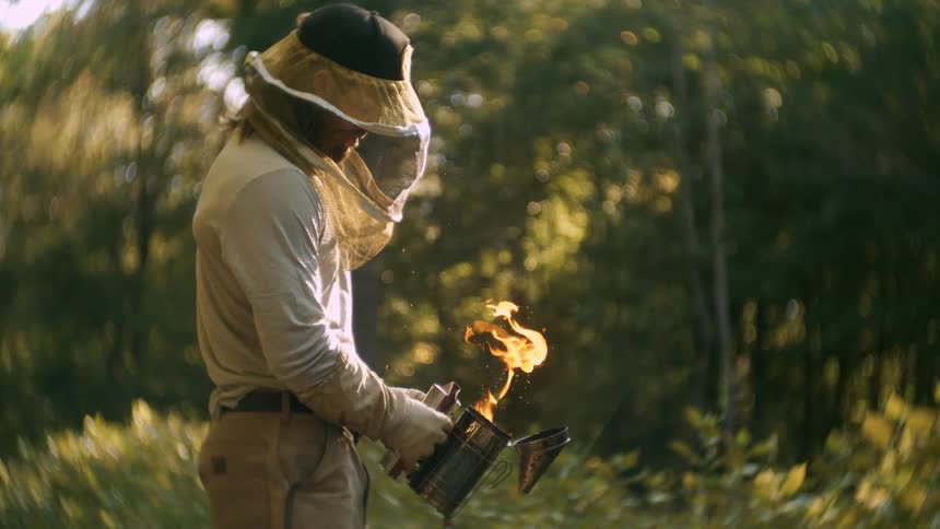 Beekeeper wearing protective clothing holding a smoker with flames amid vegetation