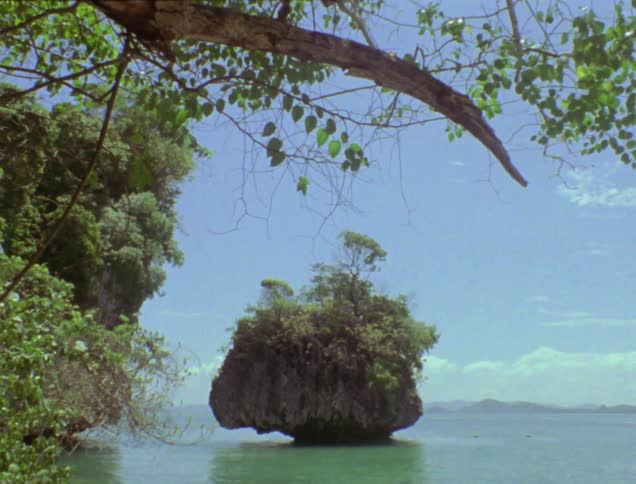 The rocks near the shore are covered with trees