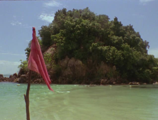 A red flag sits in the water