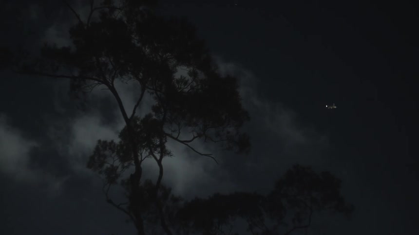 The silhouette of a trees branches and foliage against a dark night sky where white clouds drift past and a plane is passing by in the sky
