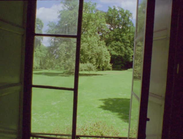Looking out a window to a grassy lawn and woods