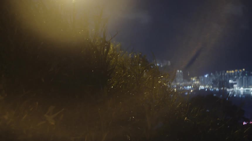 Grass illuminated by artificial light at night with an urban view in the background