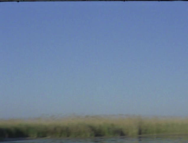 Field of weeds and grass next to body of water on clear day