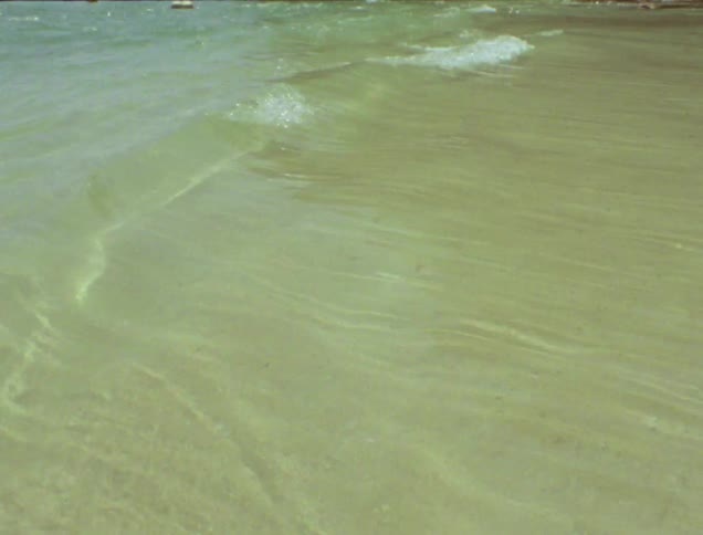 The sandy bottom is visible through the clear water