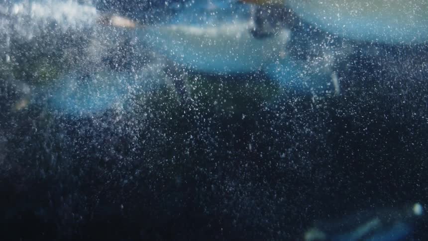 Several penguins splashing into the water