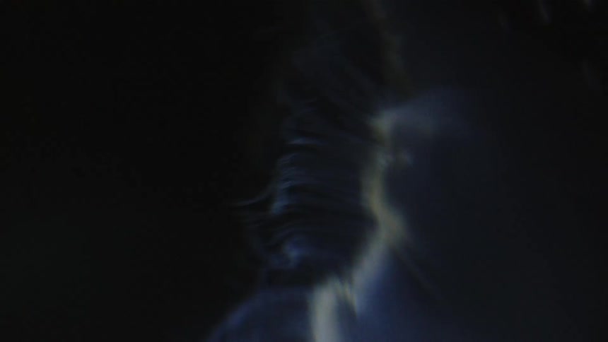Closeup of a jellyfish translucent edge floating underwater