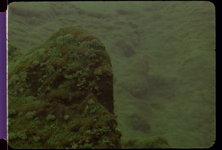 The rocks are covered with green