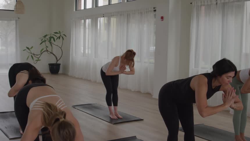 A group of women in a yoga class stands on their mats at midday holding a bending pose