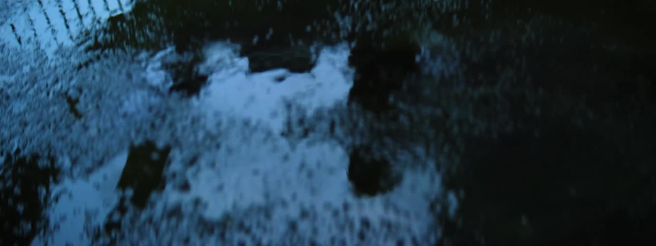 Bubbles rising to the surface of dark water