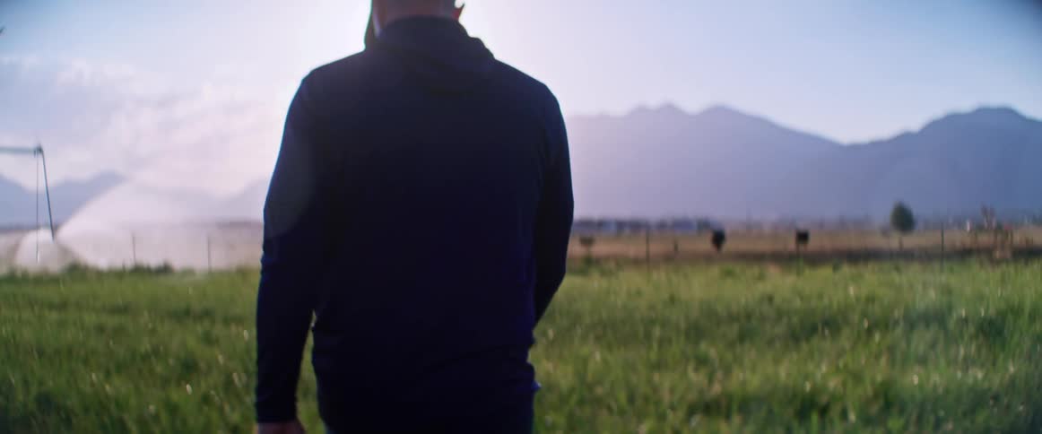 A person is walking through tall grass in a field at sunset
