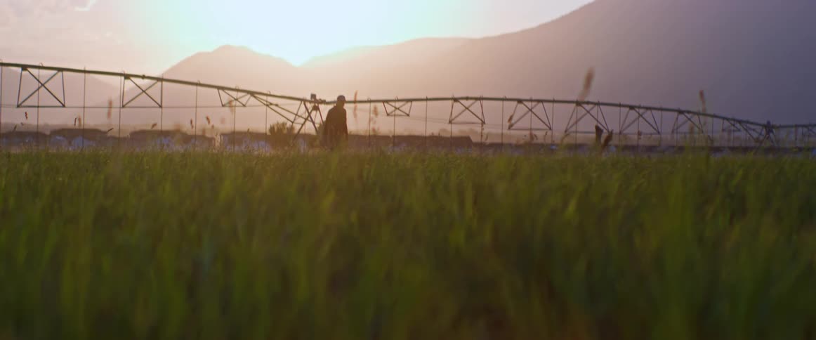 Man silhouetted by the sun on a foggy day walks along an irrigation system in a crop field located near the mountains