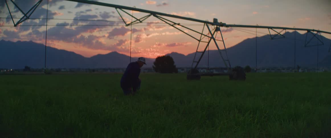 Man half kneeling in a crop field near a mobile irrigation system examines the growing plants while red tints the sky above the mountains