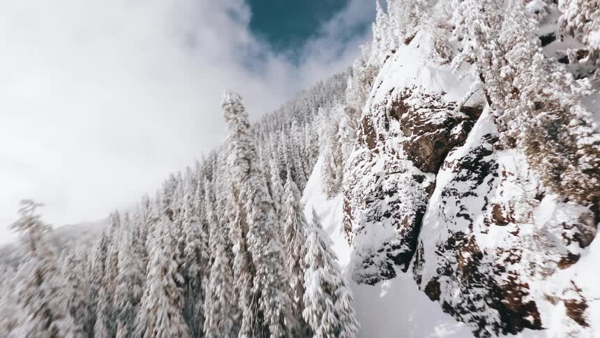 Snowcovered spruce trees stand in a mountainous landscape blanketed in white on a clear winter day