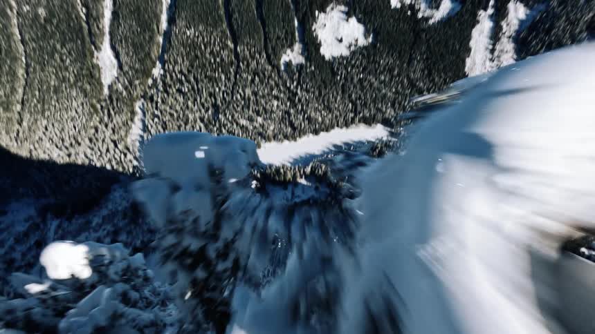 Snowcovered pine trees rise above a deep valley amid mountains