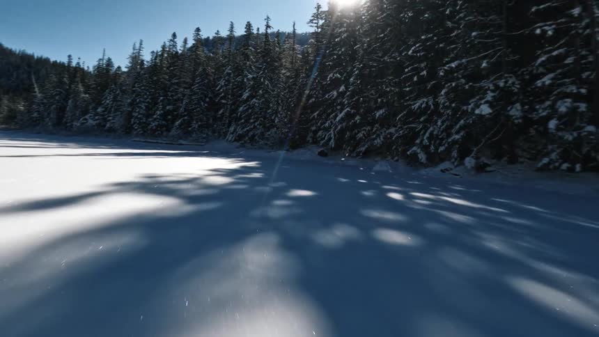 A glistening snow covered landscape stretches past a dense forest of pine trees with the sun low in the sky creating long shadows