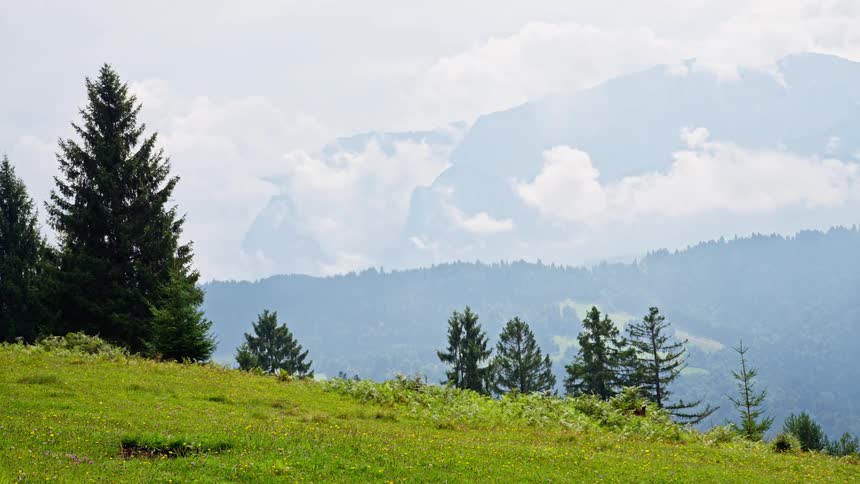 Green field with trees in the background reveals mountains covered by clouds in the distance