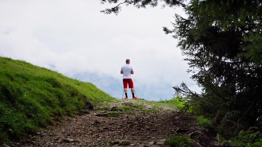 Person standing at the top of a trail surrounded by vegetation observing the landscape in the distance