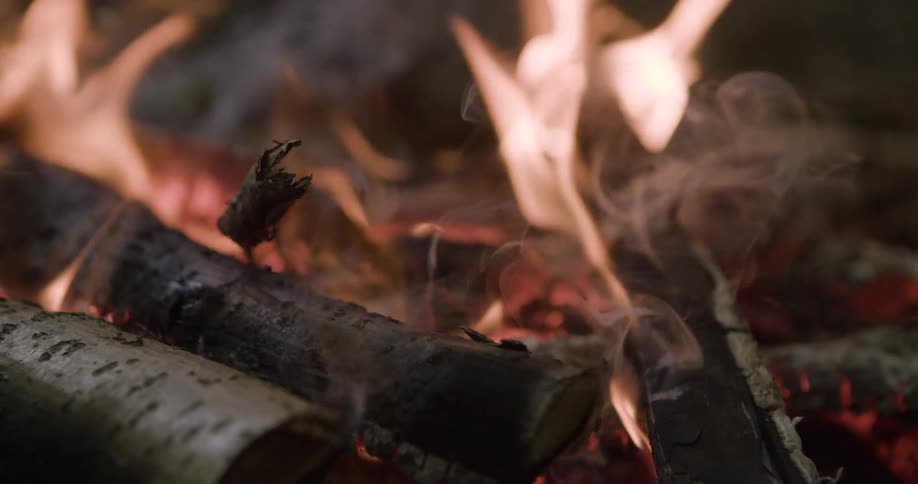 Close up of burning firewood for cooking outdoors