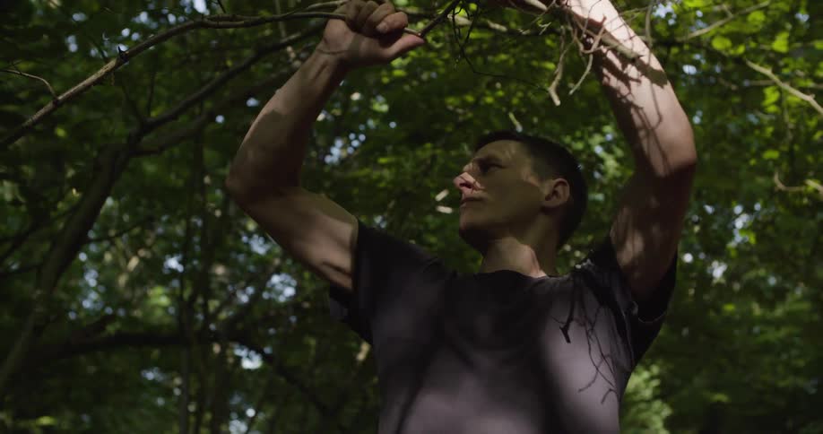 The man gathers sticks in the forest