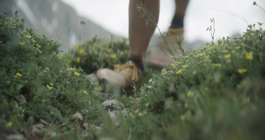 A low close view shows a persons legs wearing tan shorts and trail shoes stepping over a small mound of green plants and yellow wildflowers on a mountain trail