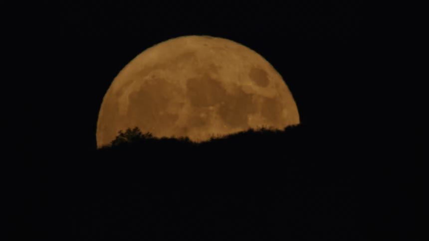 The yellow moon fills the sky at night