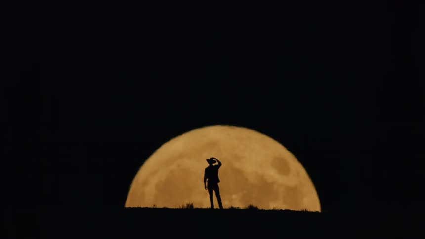 The large yellow moon is rising at night