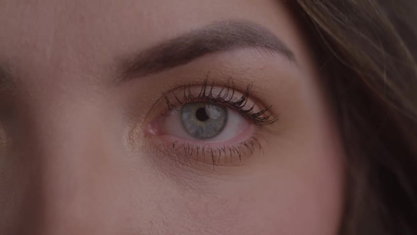 Bluegray eye of a woman with light makeup and defined eyebrow