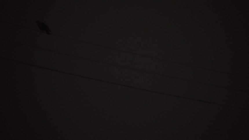 Single crow sitting on a powerline in the dark of the night then flying away