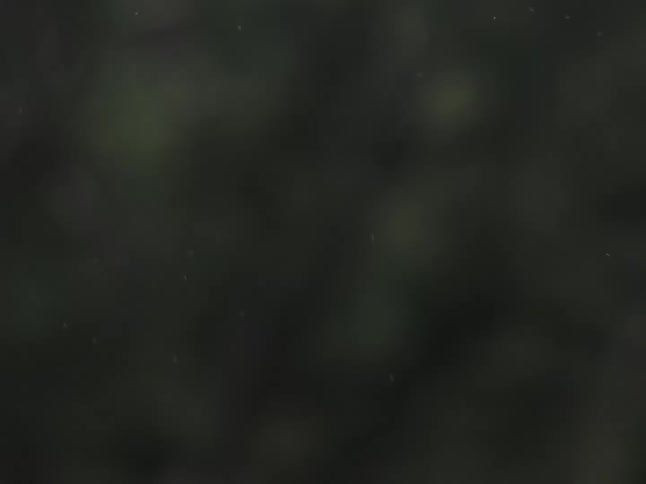 Small raindrops fall against a dark blurred background