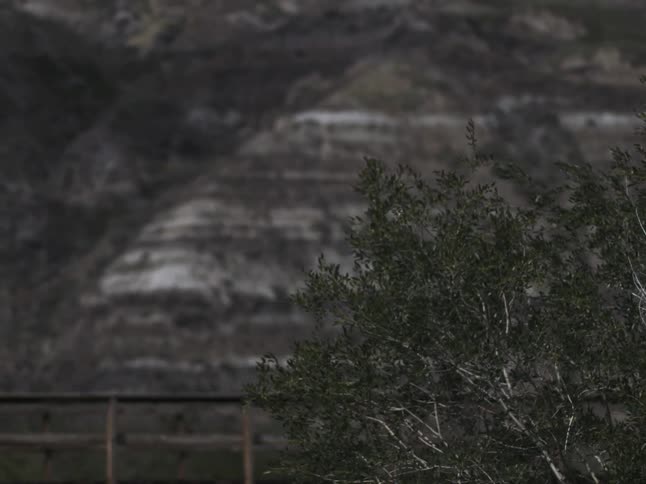 Bushes separated from a rocky hill by a metal guard rail
