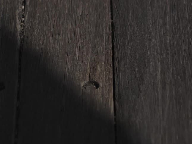 Weathered wooden planks display a rough texture and tiny grains of sand between the gaps