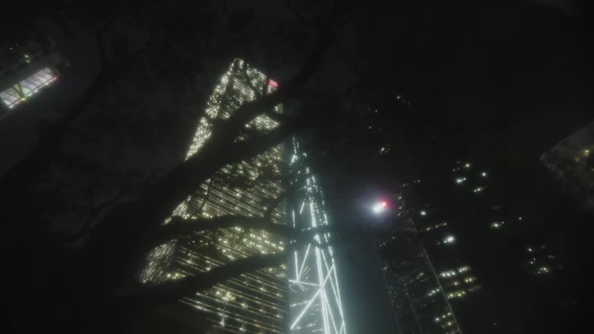 Illuminated skyscrapers rise under the night sky among tree silhouettes