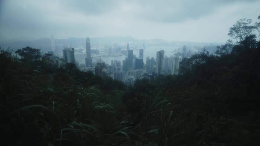 A stationary highangle wide view of a collection of structures in a coastal city seen through a valley of dark foreground vegetation under an overcast sky