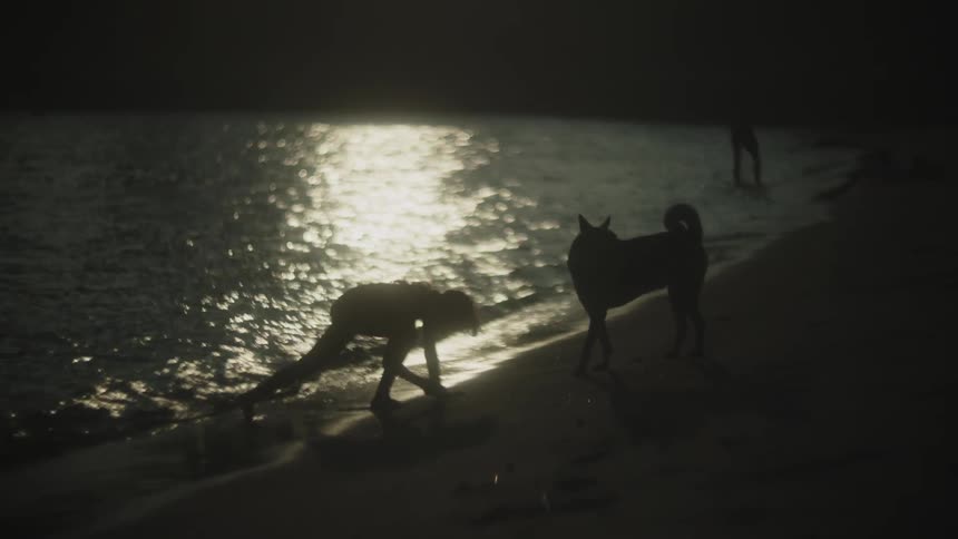 A static lowlight view of a human figure crouching at the edge of a body of water with a dog standing beside them with both figures silhouetted against a bright reflection on the waters surface