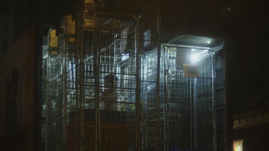 Man works loading metal cages illuminated by artificial light at night