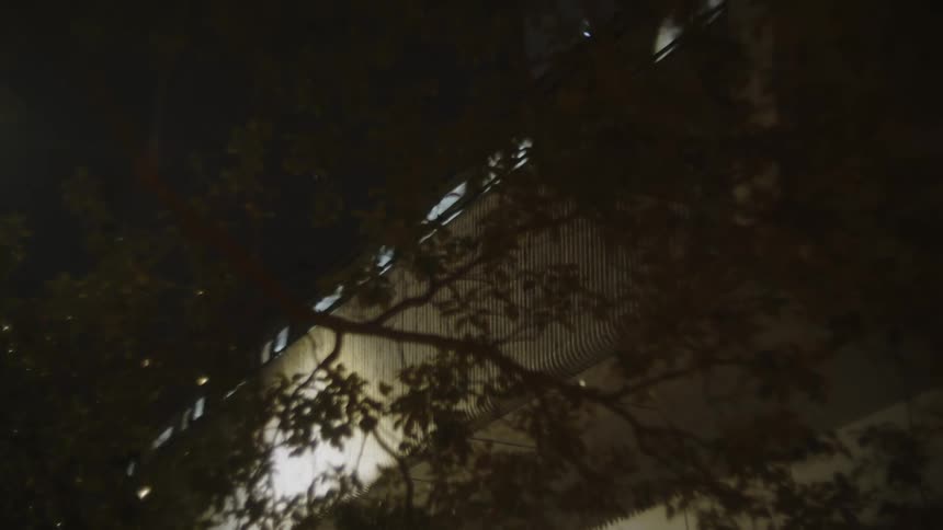 The train travels on the overpass