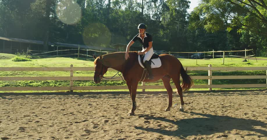 Rider in a calm pause on the horse in a sunlit arena