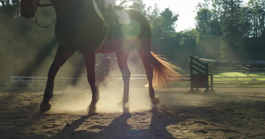 A dynamic backlit view that pans down from the torso of a person riding a horse to focus on the animals legs kicking up dust on a dirt surface with a wooden fence and trees in the background