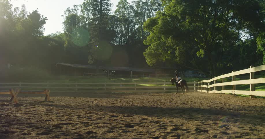 Rider rides her horse in a fenced arena under the soft light of late afternoon