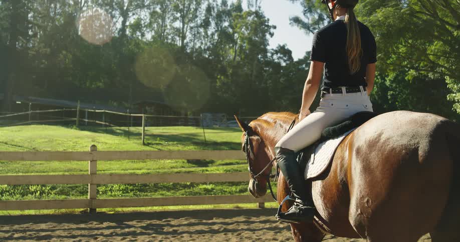 Female rider on a brown horse in an outdoor paddock on a sunny day