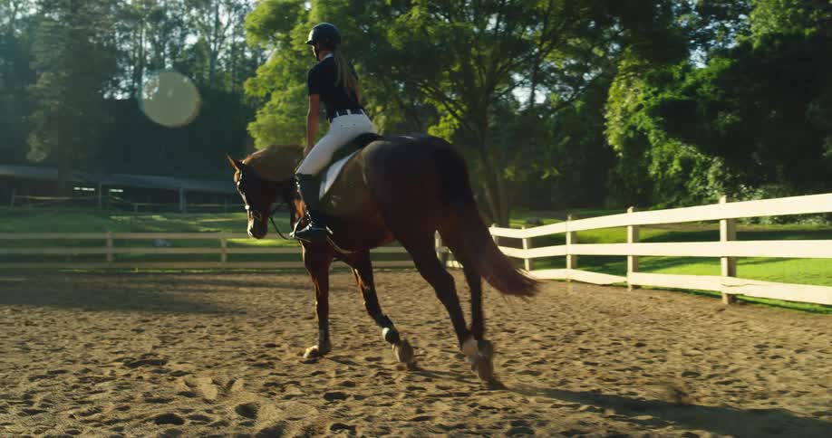 Woman in riding gear riding a horse outdoors during day time