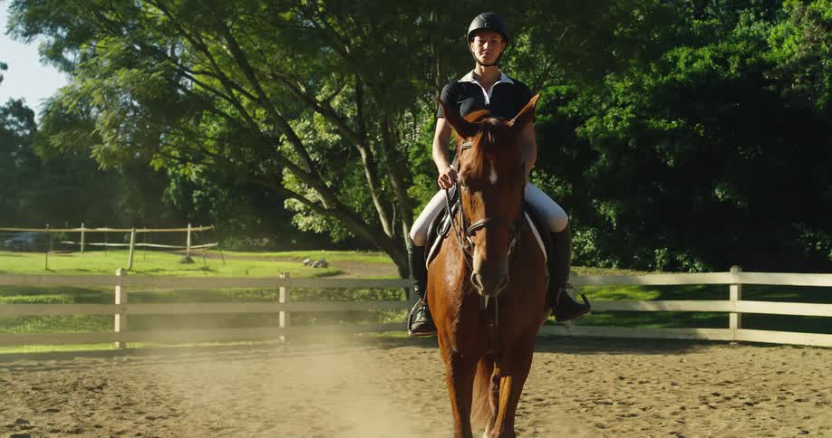 A dynamic mediumlong view of a person wearing riding attire atop a horse that is moving directly towards the camera on a dirt surface framed by a wooden fence and dense trees in the background