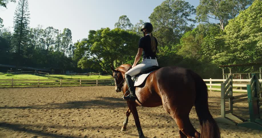 Rider calmly guides the horse through the arena under the afternoon light