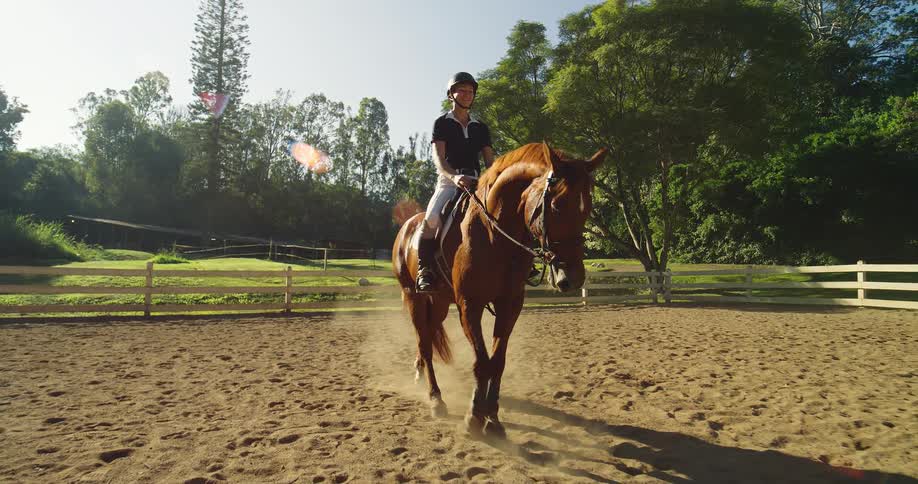Woman rides a horse in a fenced arena under bright sunlight