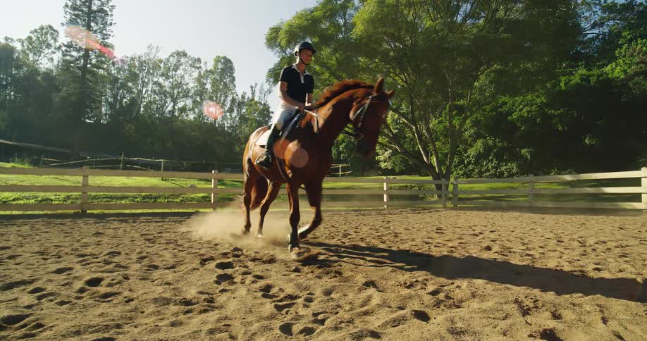 A young woman trains a colt horse on a ranch at midday