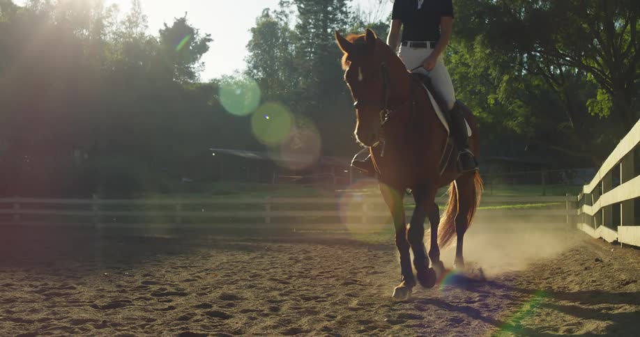 Woman wearing riding gear riding a horse outdoors during day time