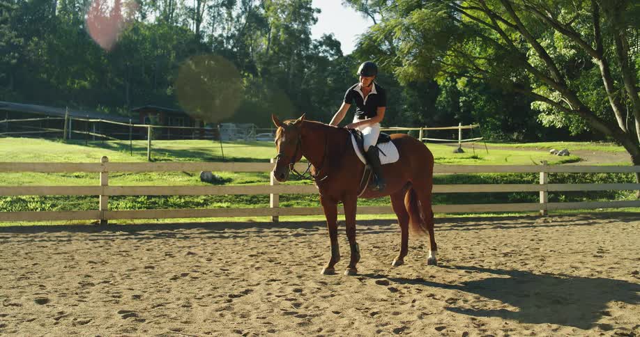 A rider sits on a brown horse in an outdoor arena