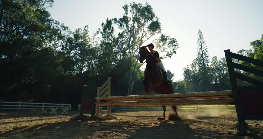 Horse rider jumps a wooden hurdle in a sunny outdoor arena