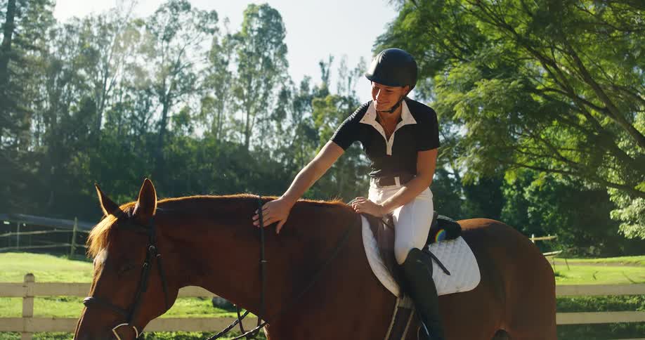 A smiling horseback rider in a helmet and equestrian gear pats her brown horse in a sunny outdoor arena